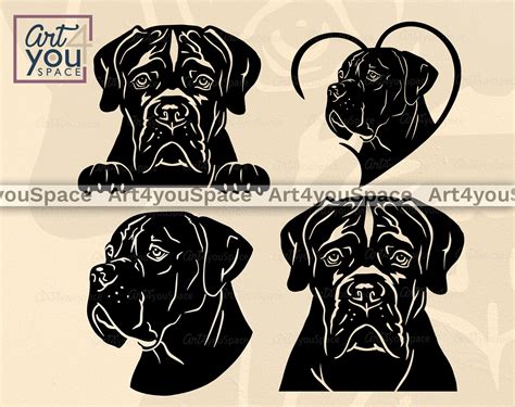 Cane Corso Svg Png Dxf Files For Cricut Mastiff Art Breed Vector Cl Art4youspace