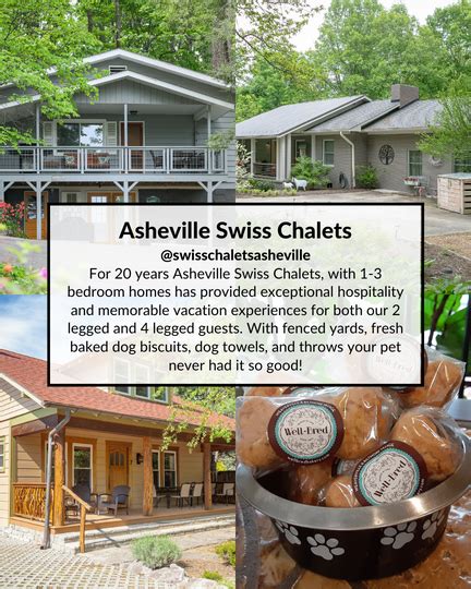 Pet Friendly Airbnbs in and around Asheville, NC — Travel Guides Asheville