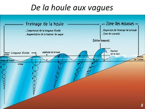 Le Manuel Du Surf Part Two De La Houle Aux Vagues Et Le Vent