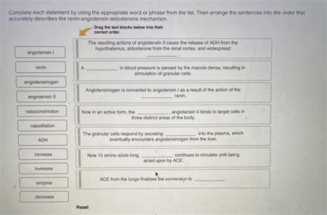 Solved Complete Each Statement By Using The Appropriate Word Chegg