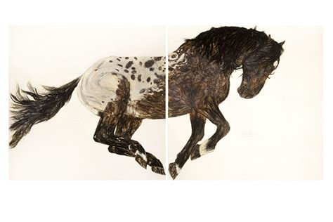 Blanket Appaloosa - Grant Hayunga