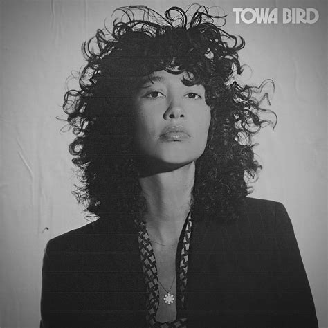 Towa Bird Boomerang Magazine Green Design Pop News