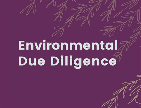 Environmental Due Diligence Audit Independent Edd Consultivo