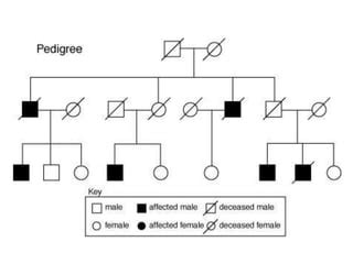 Pedigree analysis.pptx