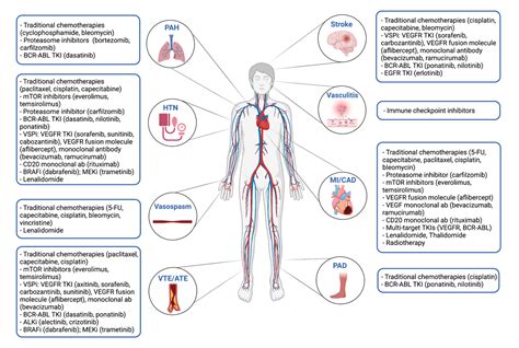 Vascular Toxicities Of Novel Cancer Therapies American College Of