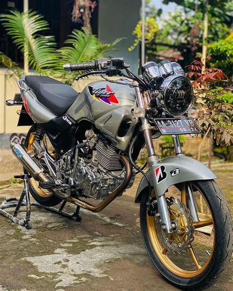 Honda Tiger Vektor Artofit