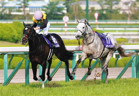 シルヴァーソニック、落馬の川田騎手ともに異状なし カラ馬で“2着”もゴール後転倒【天皇賞・春】：中日スポーツ・東京中日スポーツ