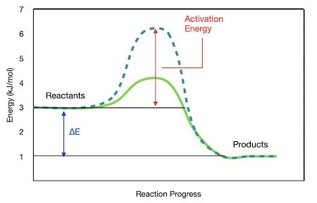 Potential Energy Diagram With Catalyst