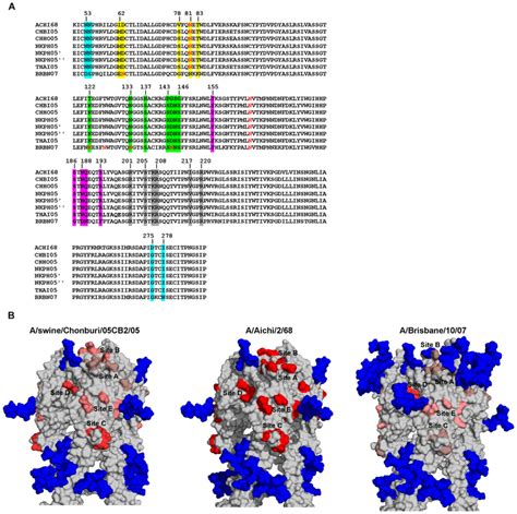 Genetic Antigenic And Glycosylation Pattern Relatedness Of 1968