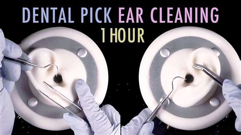 Asmr Hour Of Ear Cleaning W Dental Pick Tweezers Latex Gloves No