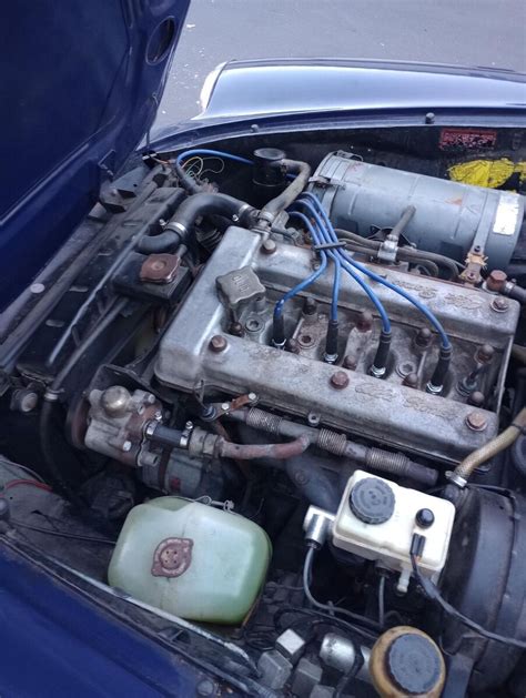 Alfa Romeo Spider Spica For Sale