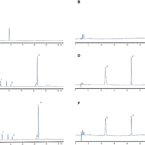 Hplc Chromatograms Of Rat Plasma Samples A Blank Plasma 280 Nm B