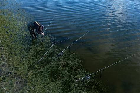 Navigating Nature Essential Tips For Fishing Weedy Lakes