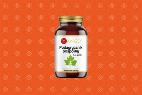 Yango Podagrycznik 90 kapsułek Apteka Webpharm pl