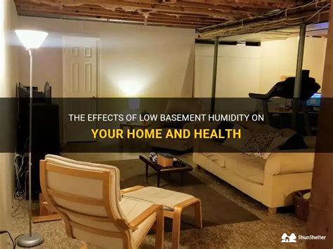 The Effects Of Low Basement Humidity On Your Home And Health Shunshelter