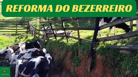 Reformando o bezerreiro assoalhado de madeira no curral pecuária