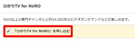 Nuro光のテレビオプション「ひかりtv For Nuro」をプロが解説！チューナー購入や対象エリアの注意点 Bizplusブログ