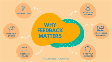 The Power Of Feedback Understanding The Importance Of Reviews In The