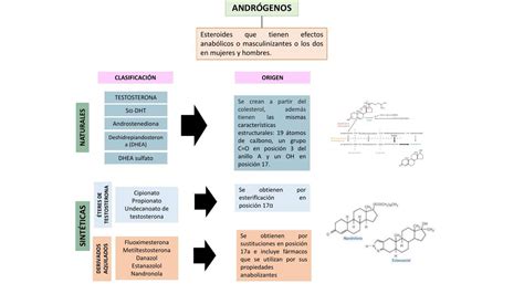 Res Menes De Andr Genos Descarga Apuntes De Andr Genos