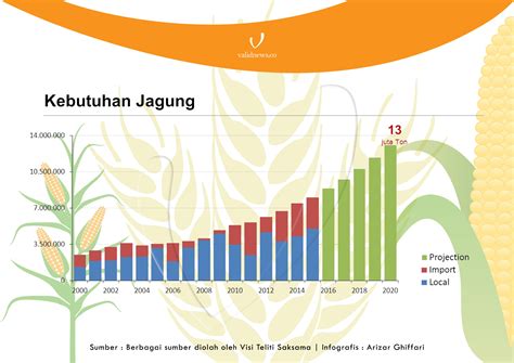 Penuhi Kebutuhan Pakan Ternak Pemerintah Impor Jagung Ribu Ton