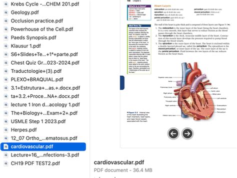 Ai Practice Exam Generator Create Full Length Tests Instantly Jungle