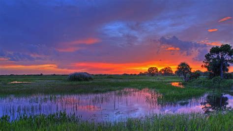 Florida Ups The Ante In Everglades Restoration With 90 Million