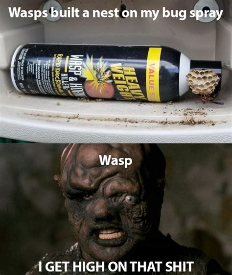 Wasps 9gag