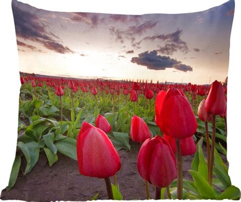 Sierkussen Rode Tulpen En Een Zonsondergang Multicolor Cm X