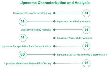 Liposome Characterization And Analysis Lifeasible