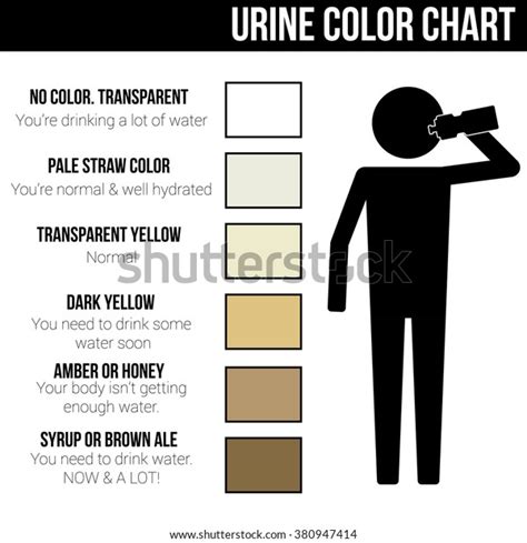 Urine Color Chart Icon Symbol Sign Stock Vector Royalty Free 380947414