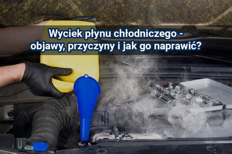 Wyciek P Ynu Ch Odniczego Objawy Przyczyny I Jak Go Naprawi