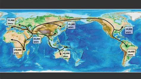 Scientists Use Genetics Climate Reconstructions To Track Global Spread