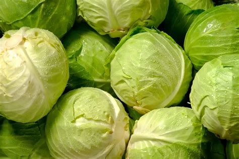 15 Low-Oxalate Vegetables You Can Eat Without Worry