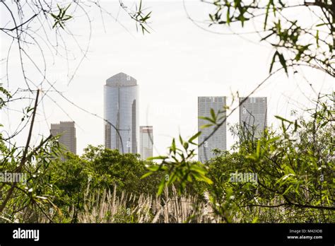 Reserva Ecológica De Puerto Madero Fotografías E Imágenes De Alta Resolución Alamy