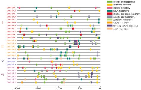 Distribution Of Hormone And Stress Related Cis Regulatory Elements On