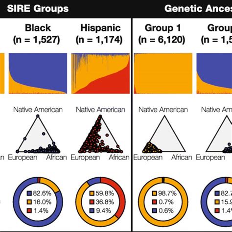 Race, ethnicity, and genetic ancestry in the US. Continental genetic... | Download Scientific ...