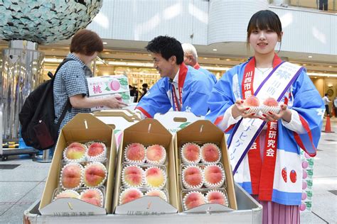 川西特産 早生桃「日川白鳳」の即売会に長蛇の列 兵庫県川西市 川西市のプレスリリース