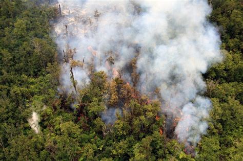 Video Lava From Kilauea Volcano Advances Threatening Homes On Hawaii