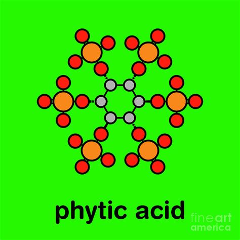 Phytic Acid Chemical Structure Photograph By Molekuul Science Photo