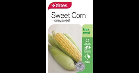 Sweet Corn