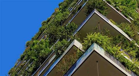 Leed Certification Learn All About Leed Rating System — Wellness
