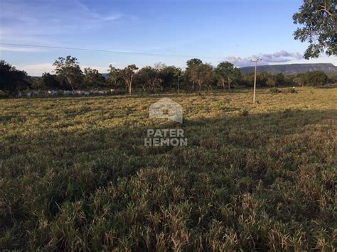 Fazenda Para Venda Miracema Do Tocantins TO Bairro Setor Central