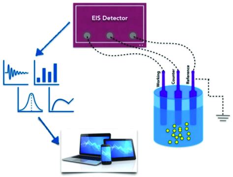 Schematic View Of A Biosensor Eis Electrochemical Impedance