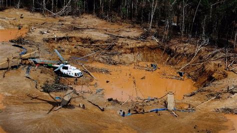 Minería Y Tala Ilegales Han Llegado A Cinco áreas Naturales Protegidas