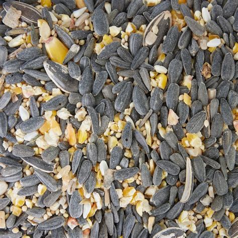 National Audubon Society Songbird Blend Black Oil Sunflower Bird Seed 7 Lb 009460 At