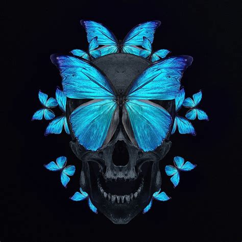 Skull Butterflies Wallpapers Wallpaper Cave