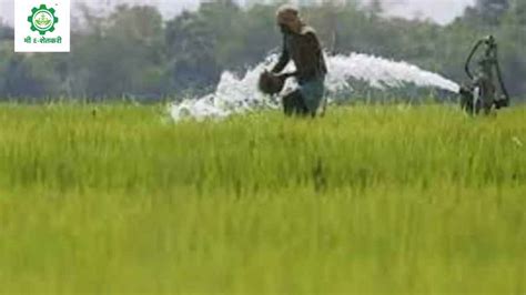 Crop Protection बियाणे गहू ज्वारी उडीद साठवण आणि कीड व रोग व्यवस्थापन मी E शेतकरी