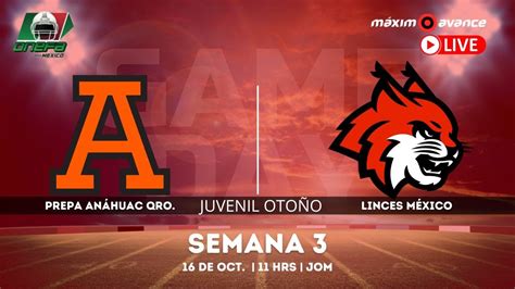 En Vivo Leones An Huac Quer Taro Vs Linces M Xico Juvenil Onefa