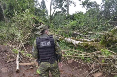 3º Batalhão Ambiental Da Brigada Militar Flagra Destruição De Vegetação