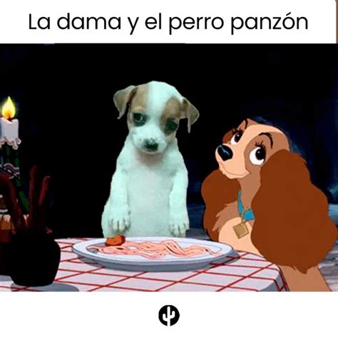 Twitter Viral Perrito Panz N Cu L Es El Origen De La Mascota Del